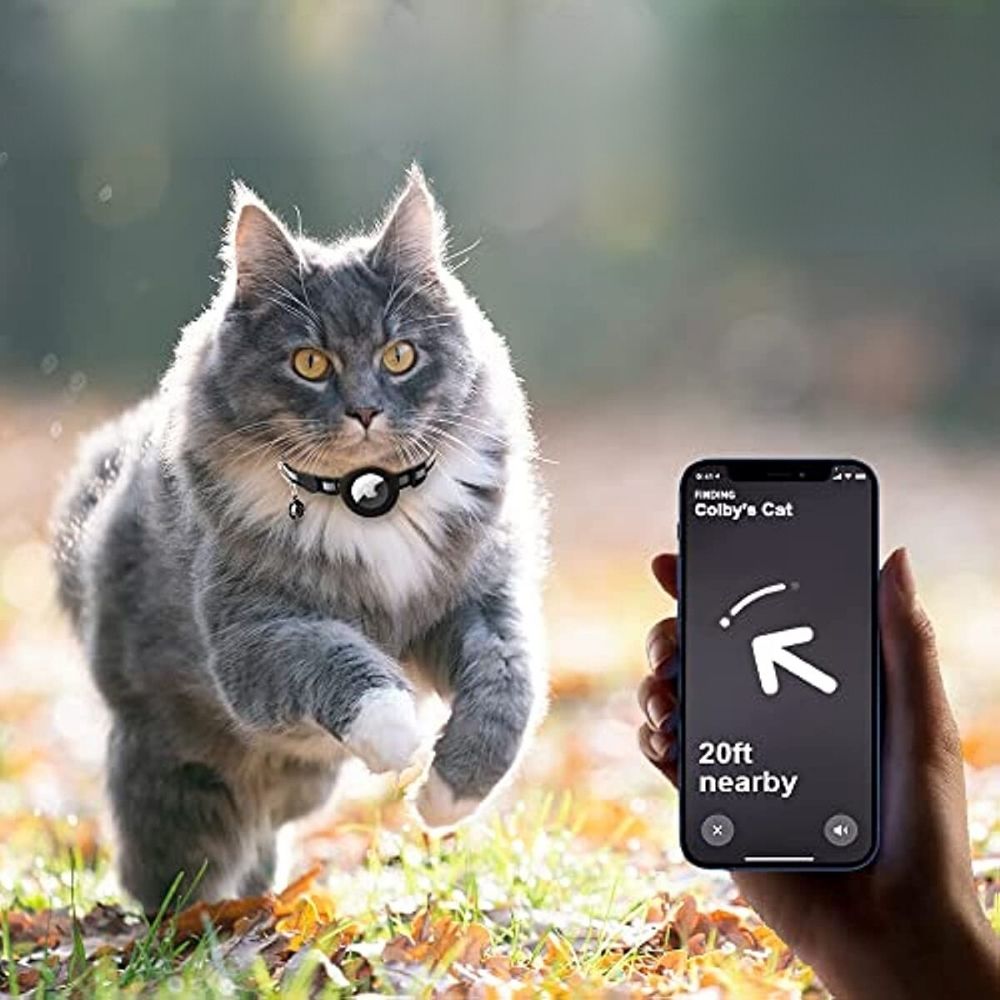 Reflekterande katthalsband med hållare för GPS-spårare och bjällra