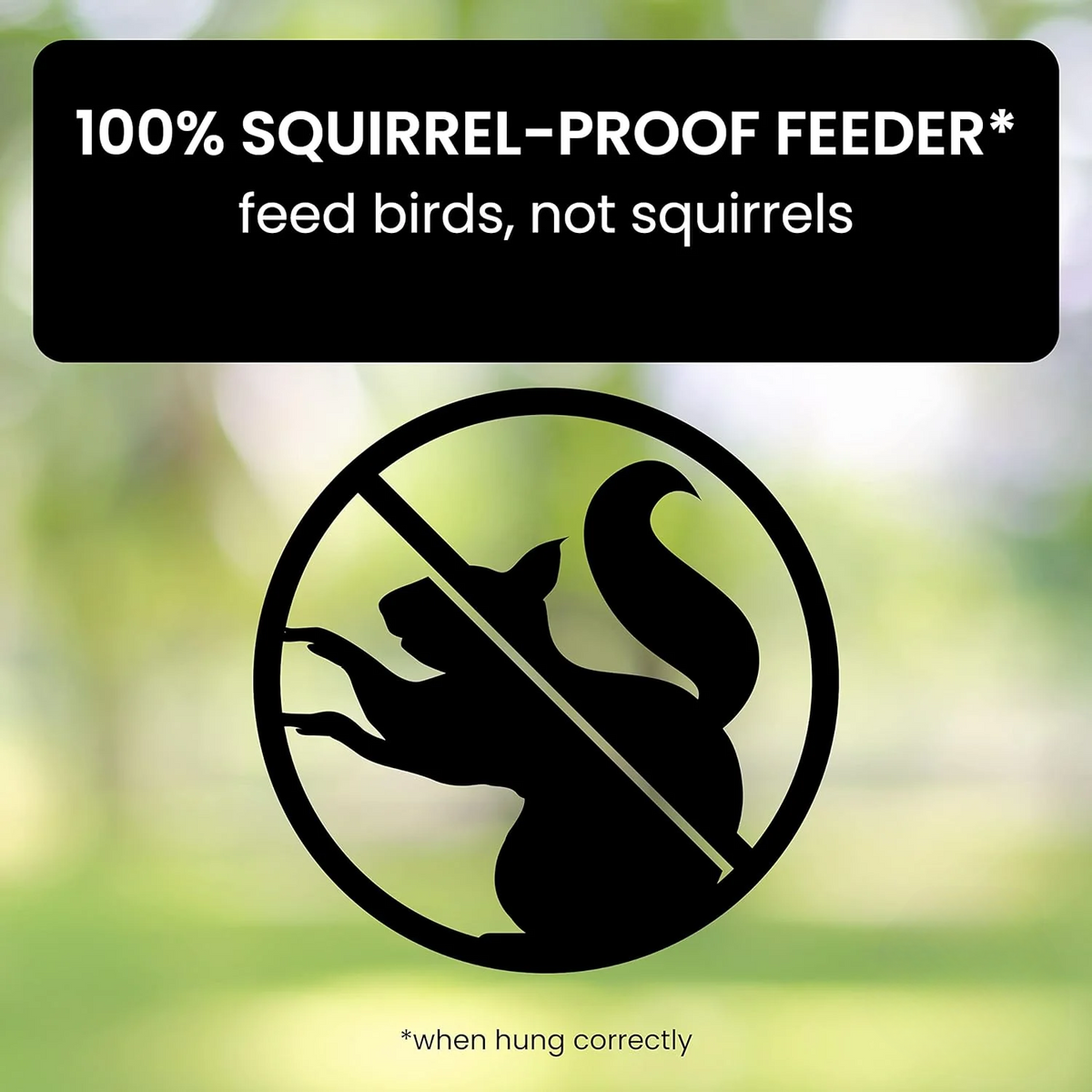 Squirrel Resistant Spinning Perch Hanging Bird Feeder