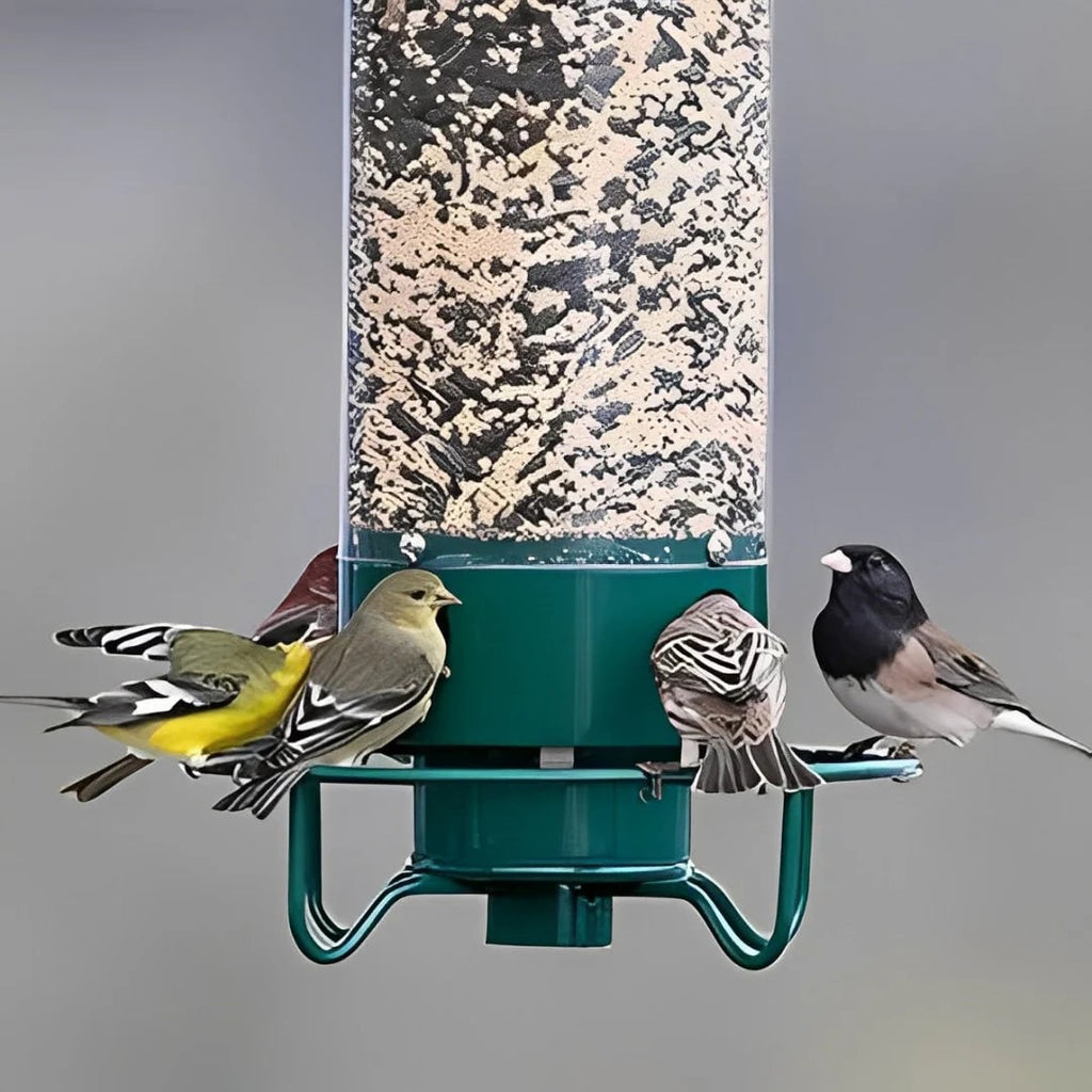 Squirrel Resistant Spinning Perch Hanging Bird Feeder