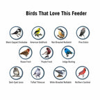 Squirrel Resistant Spinning Perch Hanging Bird Feeder